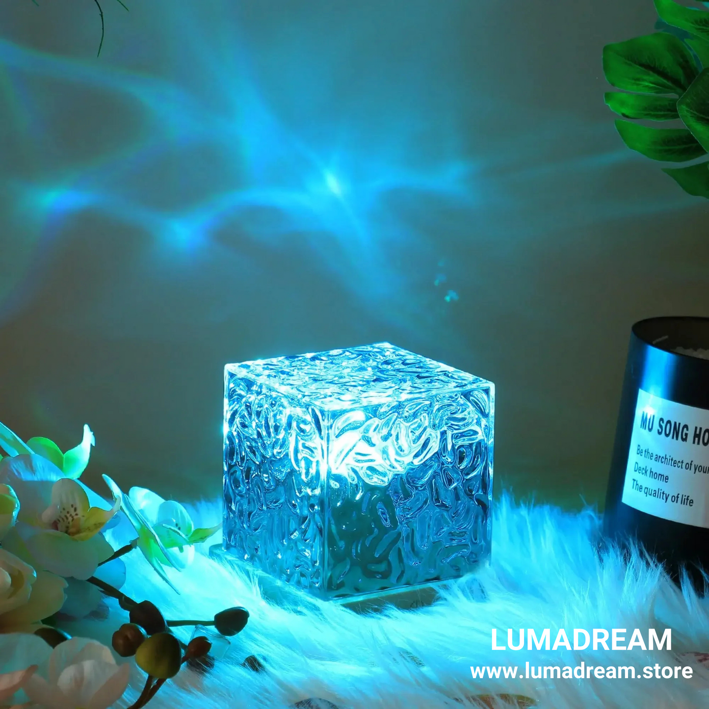 LUMA DREAM Wave Tesseract